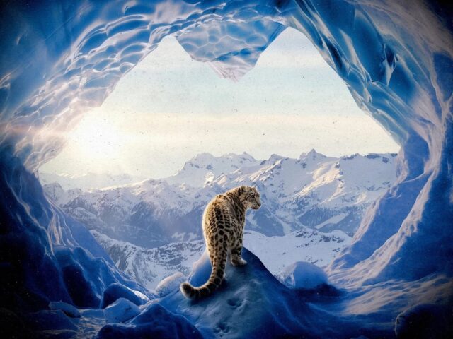 SIDEPIECE – Wild (2026): High-Energy Tech House Banger