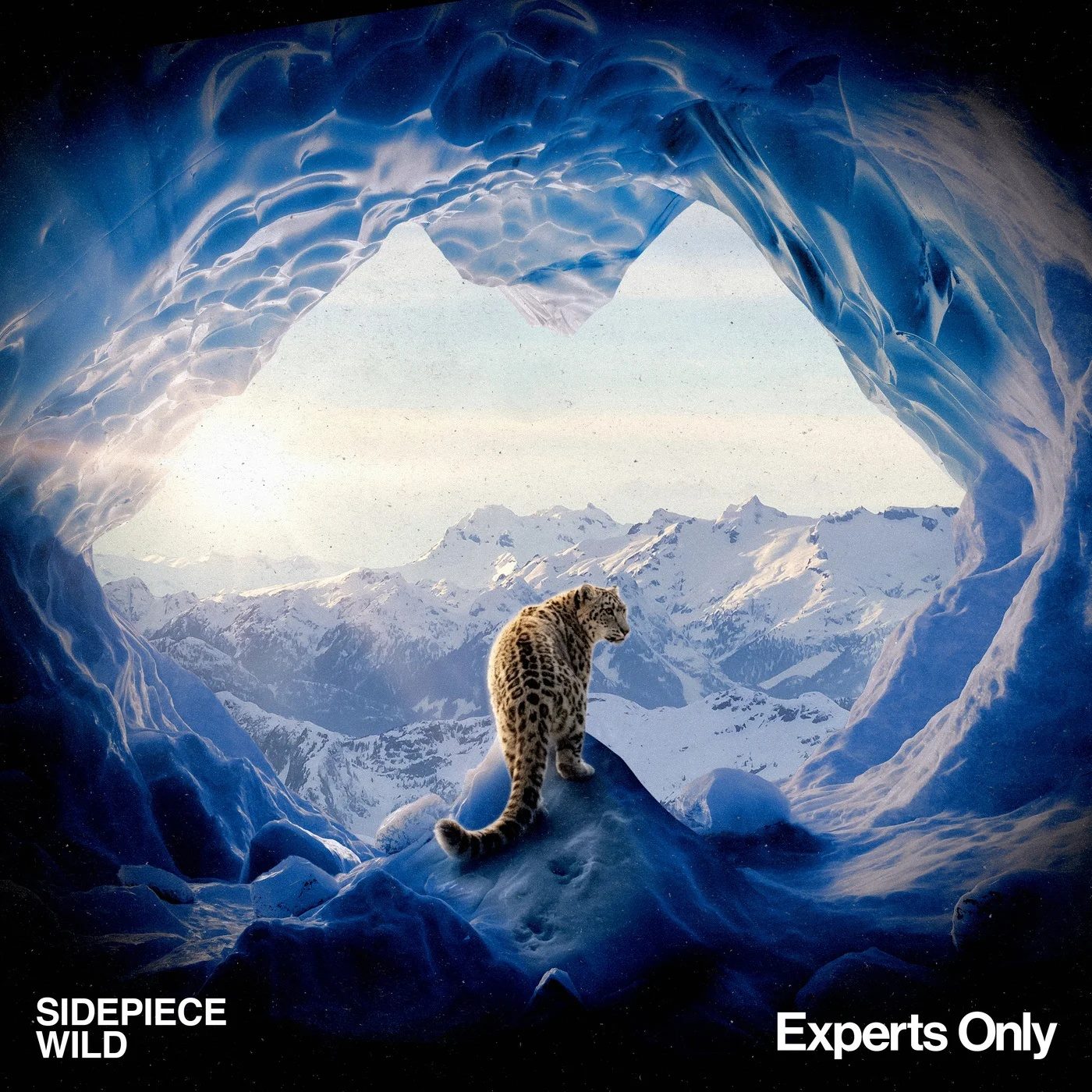 SIDEPIECE – Wild (2026): High-Energy Tech House Banger